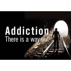 On-Line Therapy Programme for Addiction