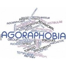 On-Line Therapy Programme for Agoraphobia