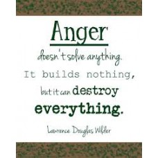 On-Line Therapy Programme for Anger