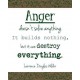 On-Line Therapy Programme for Anger