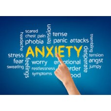 On-Line Therapy Programme for Anxiety