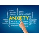 On-Line Therapy Programme for Anxiety