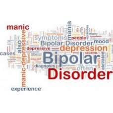 On-Line Therapy Programme for Bipolar