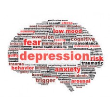 On-Line Therapy Programme for Depression