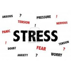 On-Line Therapy Programme for Stress